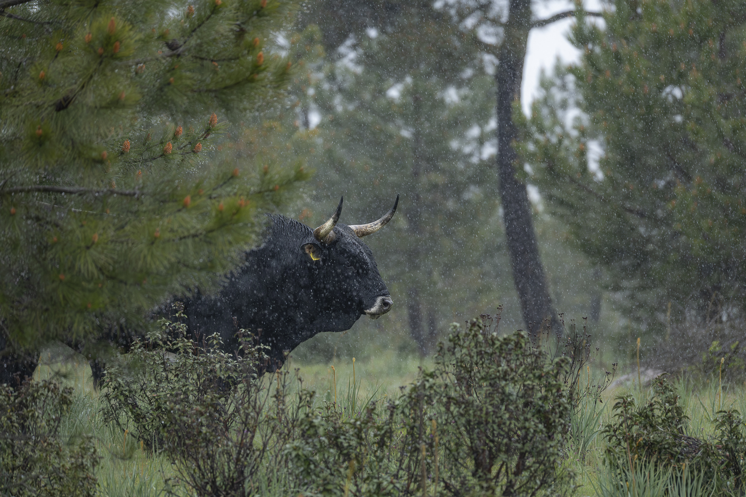 Cette photo de devrait pas exister